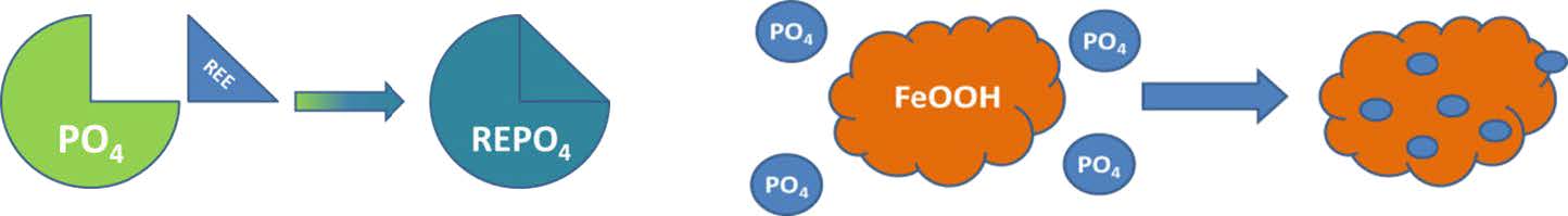 Rare Earth Chemistry in Wastewater