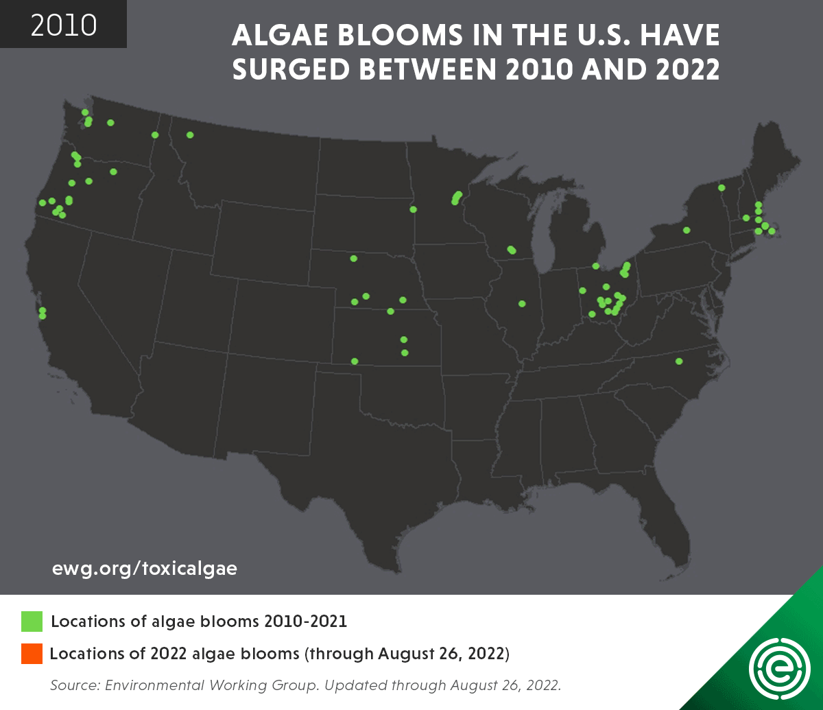Algal bloom prevention. Image of algal blooms in the U.S.