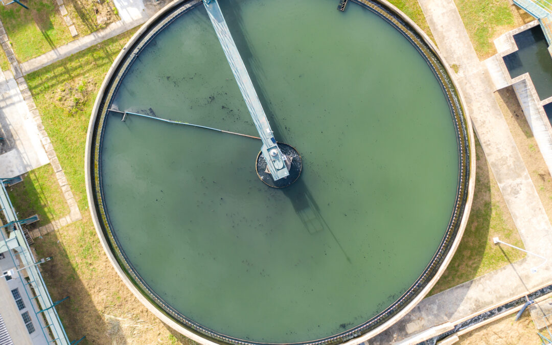 Alt text: Wastewater clarifier showing algae bloom from excessive phosphorus released from traditional coagulant sludge.